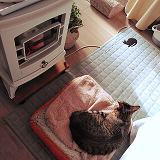 リビング/わが家の暖房器具・ストーブ/ねこのいる暮らし/キジトラ猫のインテリア実例 - 2022-01-06 13:29:33