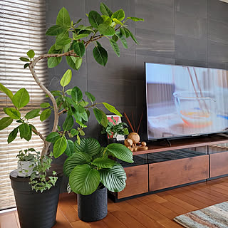 可愛い葉っぱのインテリア実例 Roomclip ルームクリップ