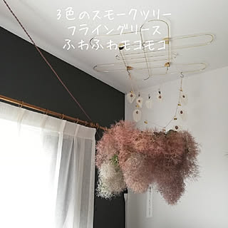 壁/天井/スモークツリー/フライングリース/ごちゃ混ぜｲﾝﾃﾘｱの会/お花を飾る暮らし...などのインテリア実例 - 2022-06-11 17:00:01