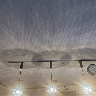 RoomClipアンケート/ダイソー/照明/ガーデニング/壁/天井のインテリア実例 - 2023-05-28 17:04:53