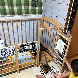 セリア 犬小屋のおしゃれなアレンジ 飾り方のインテリア実例 Roomclip ルームクリップ