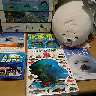 机/三男くんの部屋/夢はゴマフアザラシの飼育員/水族館部屋/水族館大好き三男くん...などのインテリア実例 - 2017-05-13 17:40:35