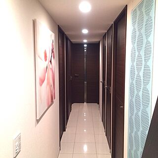 玄関/入り口/IKEA/パネルカーテンのインテリア実例 - 2014-02-20 02:40:19