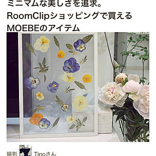 パンジー ビオラ/押し花/押し花フレーム/MOEBE/RoomClip mag 掲載...などのインテリア実例 - 2022-07-27 18:33:36