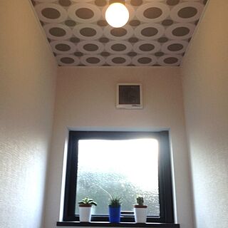 バス/トイレ/植物/天井/窓/2階のインテリア実例 - 2012-12-10 08:55:39
