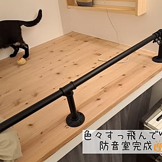 部屋全体/リノベーション/フルリノベーション/スケルトンリノベーション/保護猫と暮らす...などのインテリア実例 - 2024-05-22 20:38:58