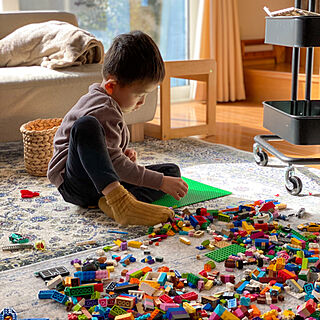 LEGO/ラグ/自宅/こどもと暮らす/ソファー...などのインテリア実例 - 2020-12-26 11:59:38