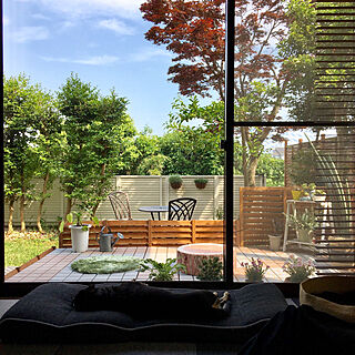 ベッド周り/窓からの眺め/山善ウッドパネル/ガーデン/観葉植物...などのインテリア実例 - 2018-05-18 14:43:33