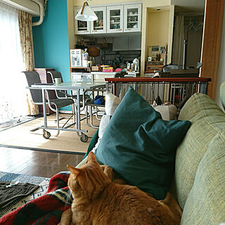 リビング/ちょっとひと休み♪/猫のいるお部屋/つぶやき。/ごんおばちゃまのインテリア実例 - 2018-03-10 09:29:32
