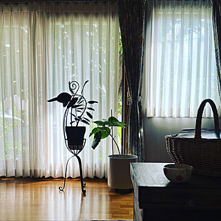 観葉植物のある暮らし/植物に癒される/すっきり暮らす/スウェーデンハウス窓/暮らしを愉しむ...などのインテリア実例 - 2022-09-13 16:52:29