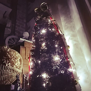 クリスマス/木の実のツリー/ライトアップ/2021.12のインテリア実例 - 2021-12-09 20:46:09