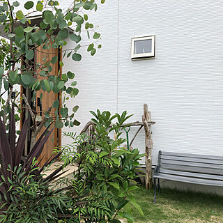 芝生の庭/ベンチリメイク/ベンチ DIY/DIY♡/ペンキ塗り♪...などのインテリア実例 - 2021-06-12 21:04:07