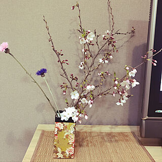 手作り花瓶/春らしく/桜を飾る/花を飾る/牛乳パック...などのインテリア実例 - 2019-04-05 22:45:39