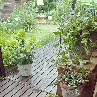 部屋全体/natural/平屋暮らし/ジャンク雑貨/garden...などのインテリア実例 - 2018-06-15 22:46:19