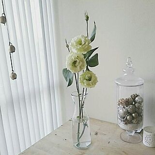 白い花/棚/IKEA/白/お花...などのインテリア実例 - 2016-09-08 00:34:31