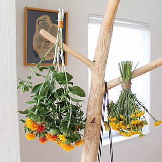 ドライフラワー 紅花のおしゃれなアレンジ 飾り方のインテリア実例 Roomclip ルームクリップ