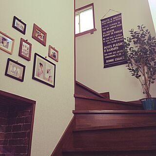 玄関/入り口/ニトリのフェイクグリーン/階段の壁/階段のインテリア実例 - 2016-02-16 11:01:50