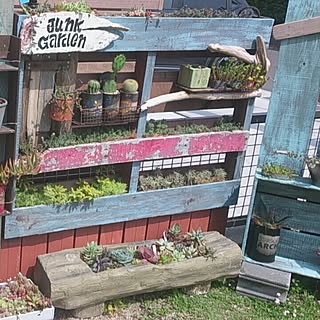 玄関/入り口/多肉植物/植物棚/パレット/サボテン...などのインテリア実例 - 2014-05-31 07:15:24