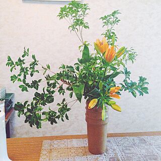 植物/小原流/いけばな/なげいれ/お花...などのインテリア実例 - 2014-10-31 19:04:29