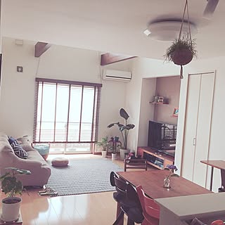 部屋全体/ウォールナット/こどもと暮らす。/観葉植物/ウッドブラインド...などのインテリア実例 - 2016-06-21 13:25:16