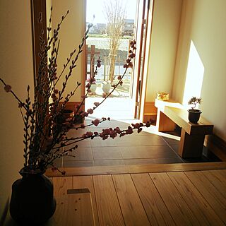 玄関/入り口/シンプル/キャンバスは白/盆栽はじめました/クロマツ...などのインテリア実例 - 2016-02-26 08:54:14