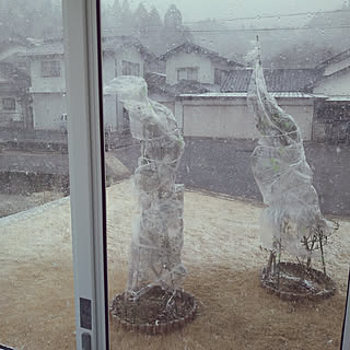 寒波到来(((;꒪ꈊ꒪;)))/猛吹雪/雪対策/凍結防止/良いお年をお迎え下さい☺︎...などのインテリア実例 - 2020-12-30 16:01:54