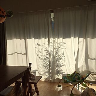 部屋全体/もみの木/観葉植物/IKEA/ナチュラル...などのインテリア実例 - 2016-10-15 16:21:46