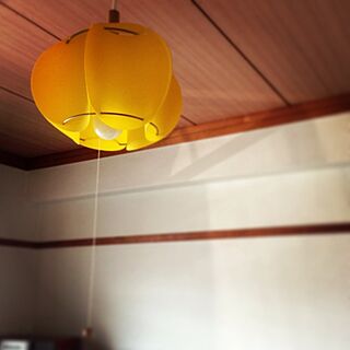 壁/天井/照明のインテリア実例 - 2013-04-08 10:00:42