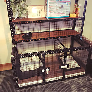犬小屋diyのインテリア 手作りの実例 Roomclip ルームクリップ 犬小屋diyのインテリア 手作りの実例 Roomclip ルームクリップ