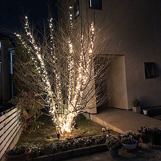 庭/皆さま、いつもありがとう♡/クリスマスツリー☆/玄関/入り口/LEDライトのインテリア実例 - 2020-11-30 21:27:50