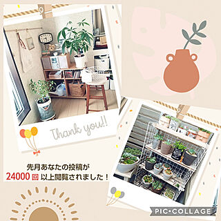 部屋全体/閲覧回数/ベランダガーデン/観葉植物/多肉部屋...などのインテリア実例 - 2022-10-06 23:16:08