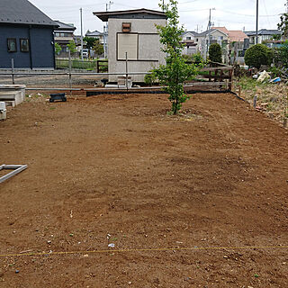 庭/DIY/竹の根/コスパのインテリア実例 - 2022-04-21 13:24:17