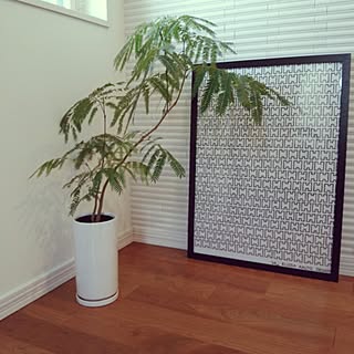 玄関/入り口/アアルト H55/観葉植物/エバーフレッシュ/エコカラットの壁...などのインテリア実例 - 2016-03-22 13:29:32