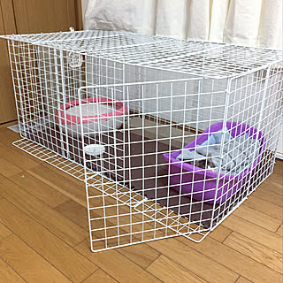 猫/キャットケージDIY/DIY/100均/キャンドゥ...などのインテリア実例 - 2020-11-24 10:58:07