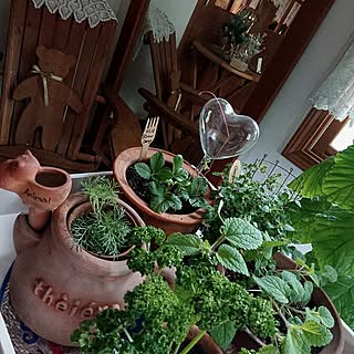 茶色LOVE同好会/庭の植物避難/台風線状降水帯怖いです。/玄関内のインテリア実例 - 2023-06-02 08:58:26