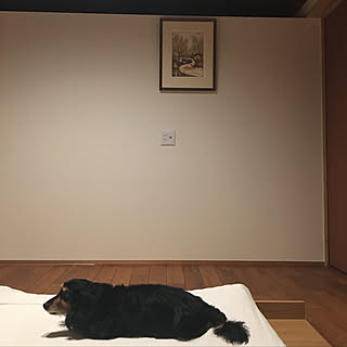 絵画のある生活/二世帯同居/狭小3階建/いぬと暮らす/エッグクロス...などのインテリア実例 - 2019-06-13 00:10:09