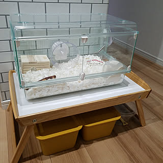 ペット ジャンガリアンハムスターのレイアウト おしゃれなインテリアコーディネートの実例 Roomclip ルームクリップ