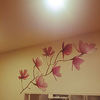 壁/天井/すっきりとした暮らし/IKEA/ｳｫｰﾙｽﾃｯｶｰのインテリア実例 - 2016-05-29 21:37:00