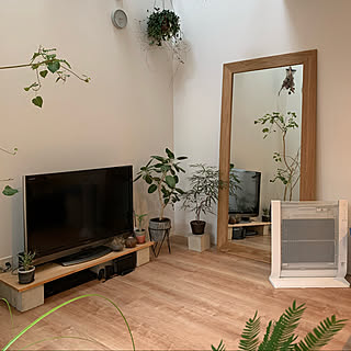 植物のある暮らし/大きな鏡/部屋全体のインテリア実例 - 2020-11-23 14:31:17