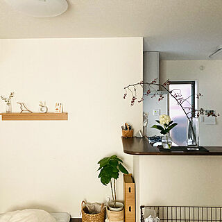 ウンベラータ/無印良品 壁に付けられる家具/紫陽花/IKEA/100均...などのインテリア実例 - 2021-10-07 15:58:48