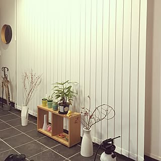 玄関/入り口/多肉植物/外の景色もインテリア/田舎暮らし/土間のある暮らし...などのインテリア実例 - 2017-06-07 21:27:55