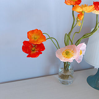お花/お花のある暮らし/癒しセット/DIY/Francfranc...などのインテリア実例 - 2021-02-27 04:56:01