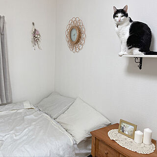 保護猫から家猫に/ベッドサイドテーブル/ニトリの枕カバー/はちわれ猫/ねこと暮らす。...などのインテリア実例 - 2021-05-22 11:33:09
