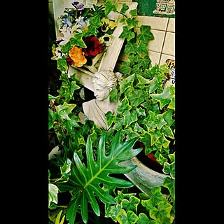 リビング/DIY/Garden雑貨/植物/植物中毒のインテリア実例 - 2016-05-31 22:40:53