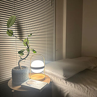 ベッド周り/観葉植物/照明/ナチュラル/ブラインドのインテリア実例 - 2024-05-09 00:42:10
