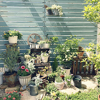 寄せ植え/お花のある暮らし/フェンスDIY/庭　DIY/庭造り...などのインテリア実例 - 2021-04-23 10:11:01