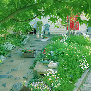 ハンドメイド/ガーデン/庭DIY/庭/アプローチ...などのインテリア実例 - 2020-05-14 16:35:17