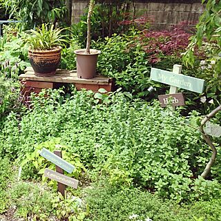 植物/DIY/各種ハーブいろいろ/ガーデンサイン/ベニシアさんの庭風❗のインテリア実例 - 2016-05-20 21:21:34
