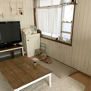 DIY/愛犬/手作り窓枠/リビング/板壁のインテリア実例 - 2019-05-15 17:45:24