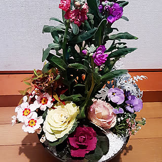 玄関/入り口/お正月の寄せ植え/ポイントは寒水石/縁起物に南天、葉牡丹のインテリア実例 - 2021-12-25 21:37:13